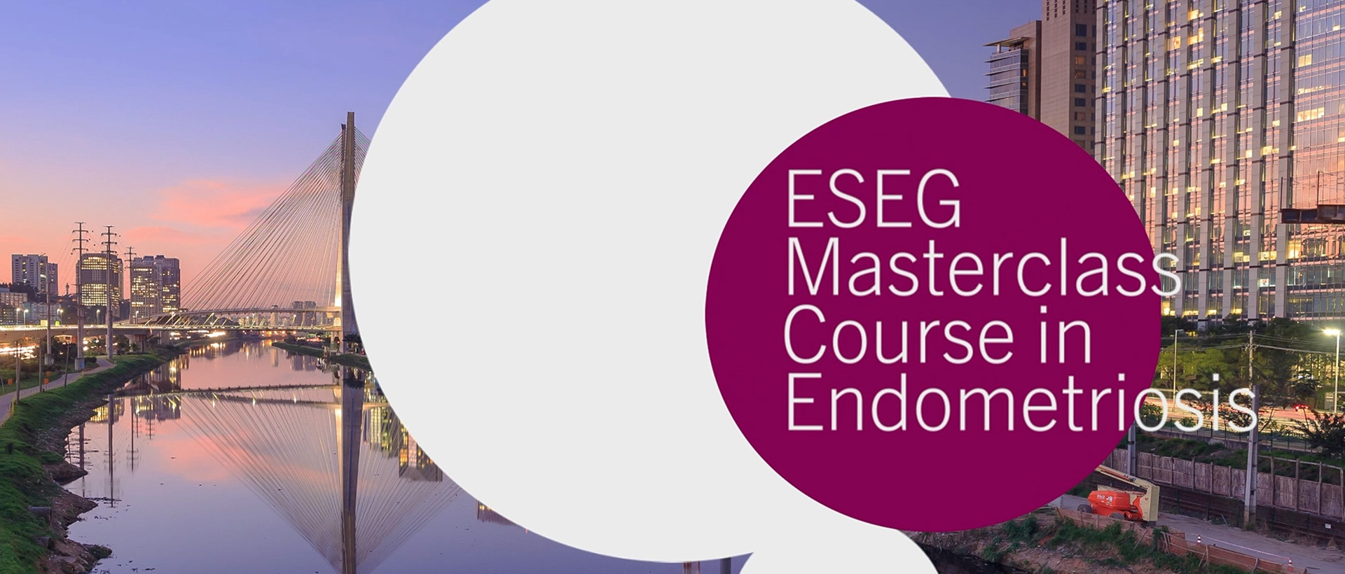 ESEG Masterclass course in Endometriosis in Brazil