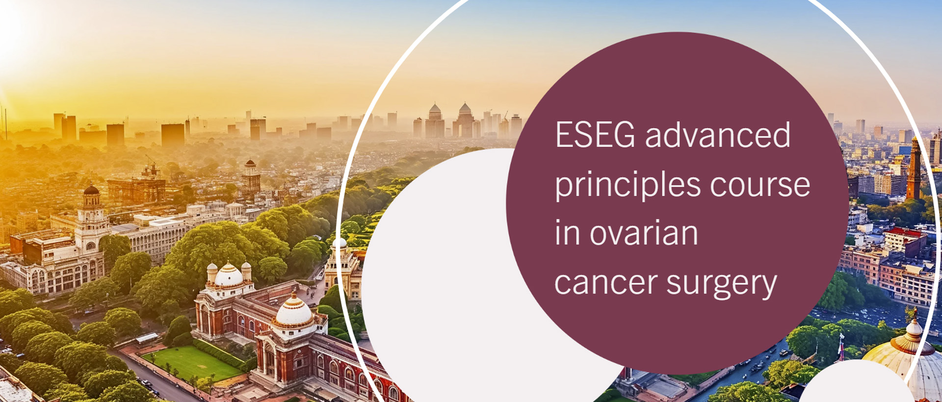 ESEG advanced principles course in ovarian cancer surgery