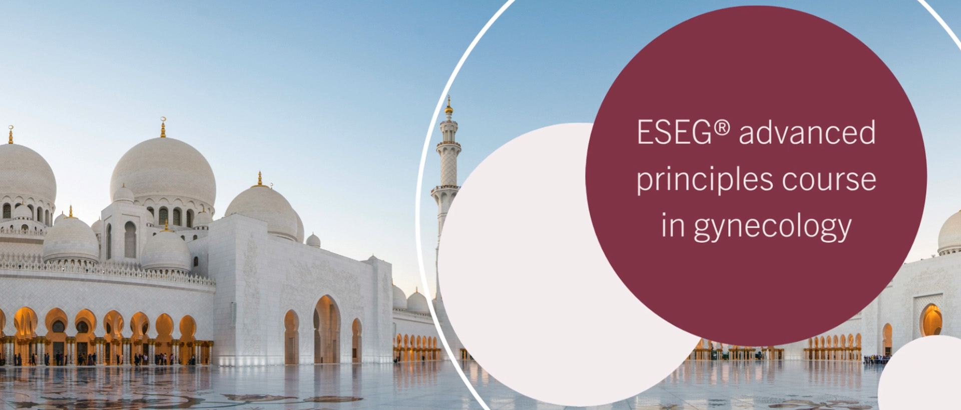 ESEG Advanced Principles Course in Gynecology in Dubai