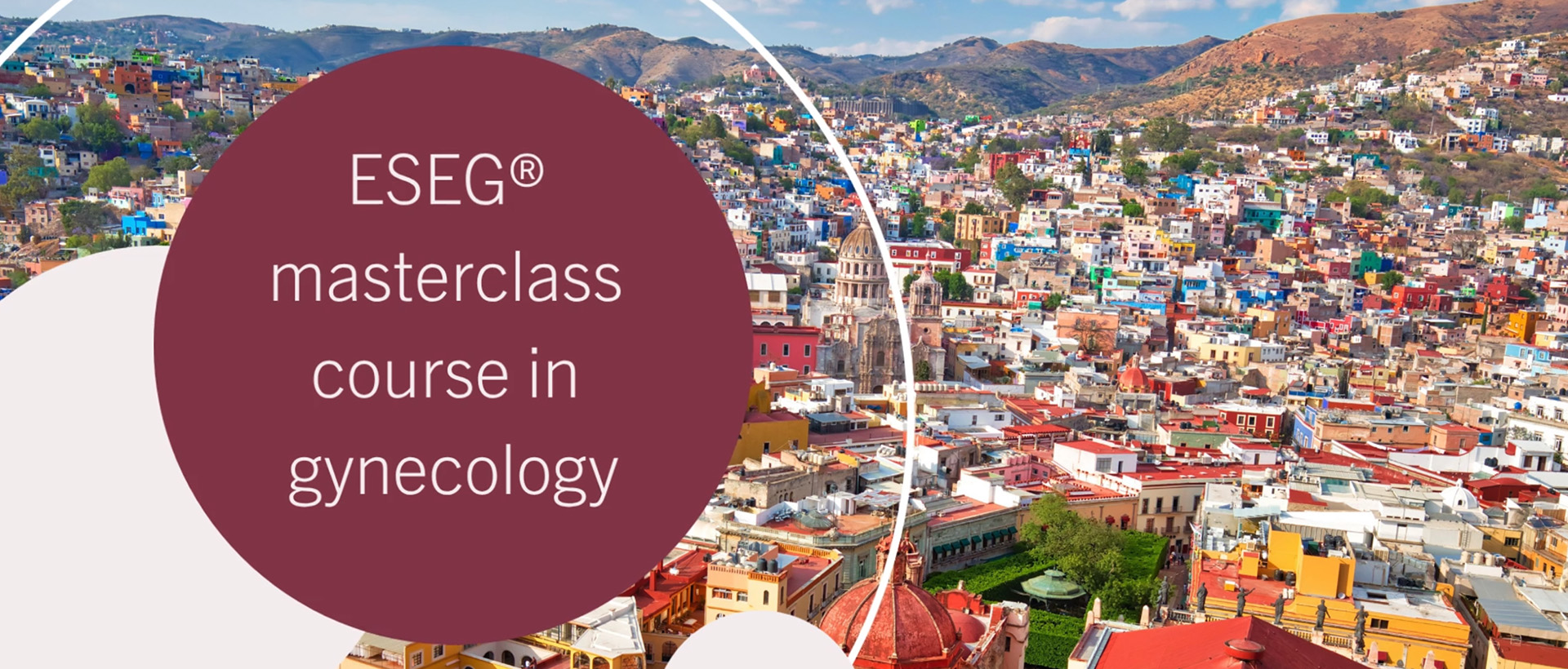 ESEG® masterclass course in gynecology 