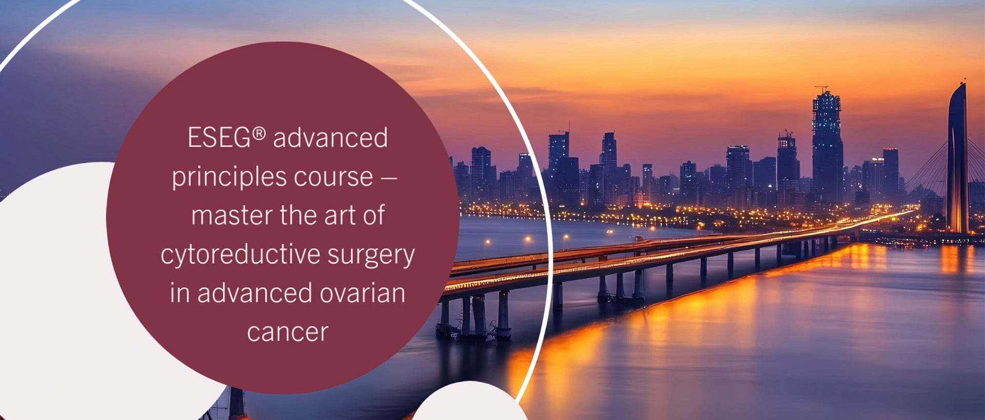 ESEG advanced principles course in ovarian cancer surgery