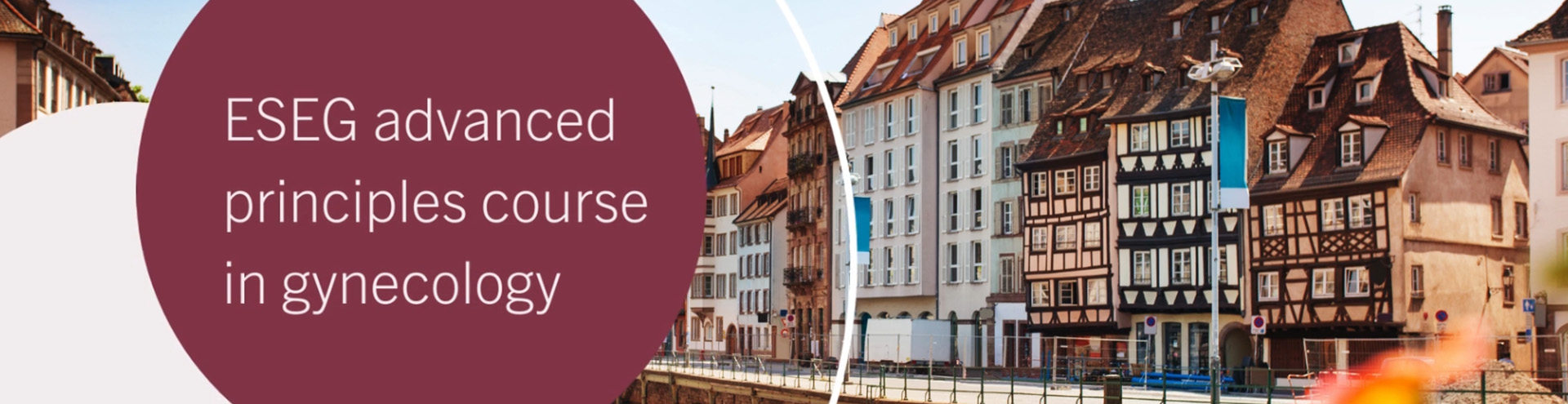 ESEG advanced principles course in ovarian cancer surgery